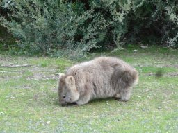 Australie : Melbourne