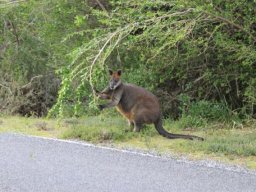 Australie : Melbourne