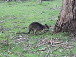 Australie : Melbourne