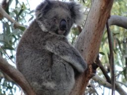 Australie : Melbourne