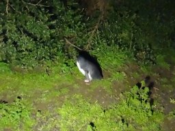 Australie : Melbourne