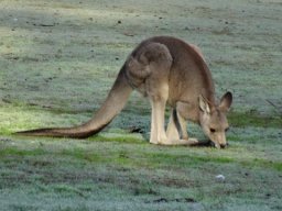 Australie : Melbourne