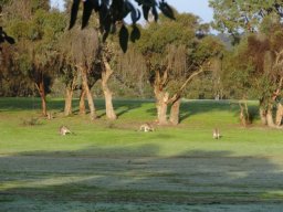 Australie : Melbourne