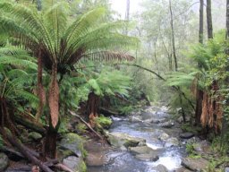 Australie : Melbourne