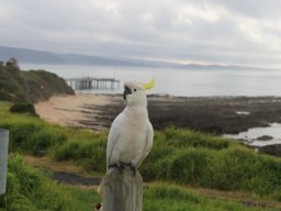 Australie : Melbourne