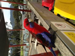 Australie : Melbourne