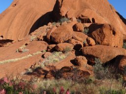 Australie : Uluru