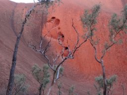Australie : Uluru