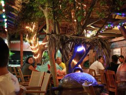 La Réunion au quotidien