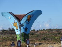 La Réunion l’île aux gouzous